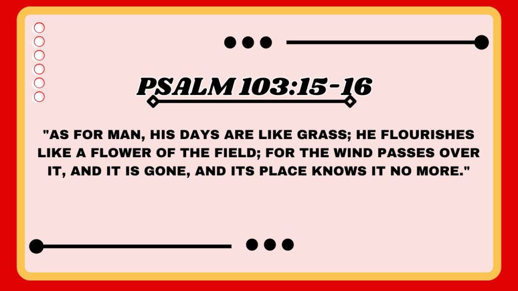 Psalm 103:15-16