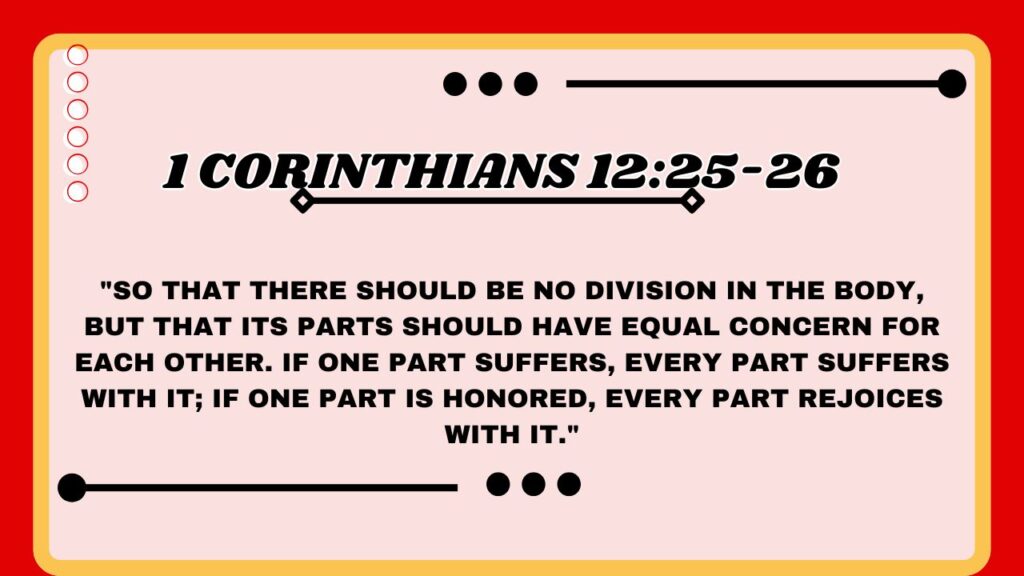1 Corinthians 12:25-26 