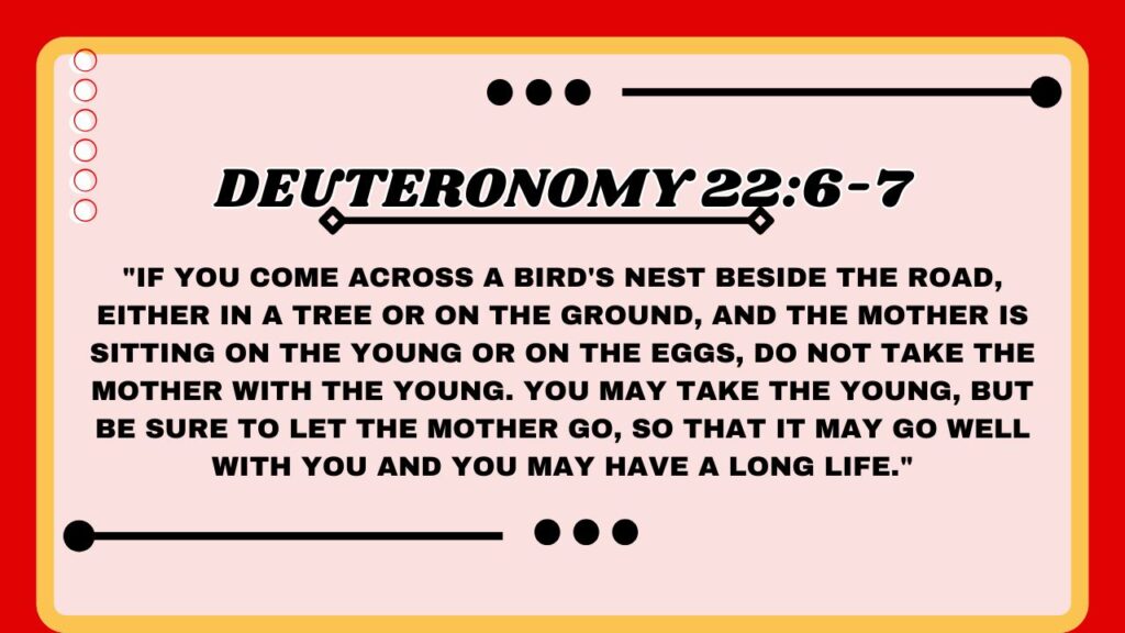 Deuteronomy 22:6-7