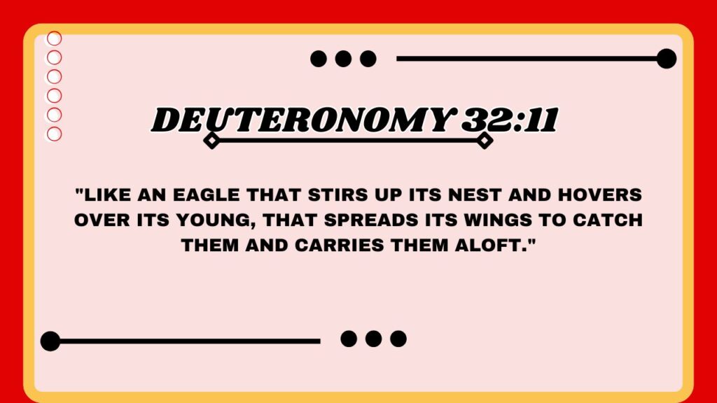 Deuteronomy 32:11