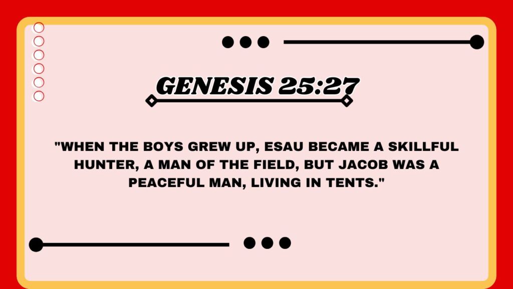 Genesis 25:27