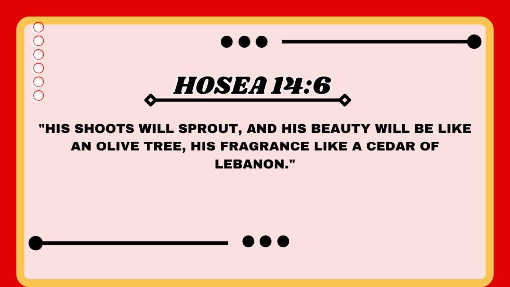 Hosea 14:6