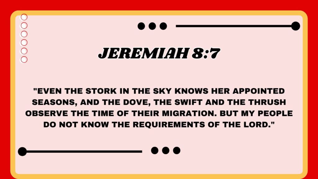  Jeremiah 8:7