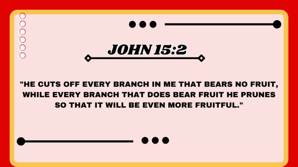 John 15:2