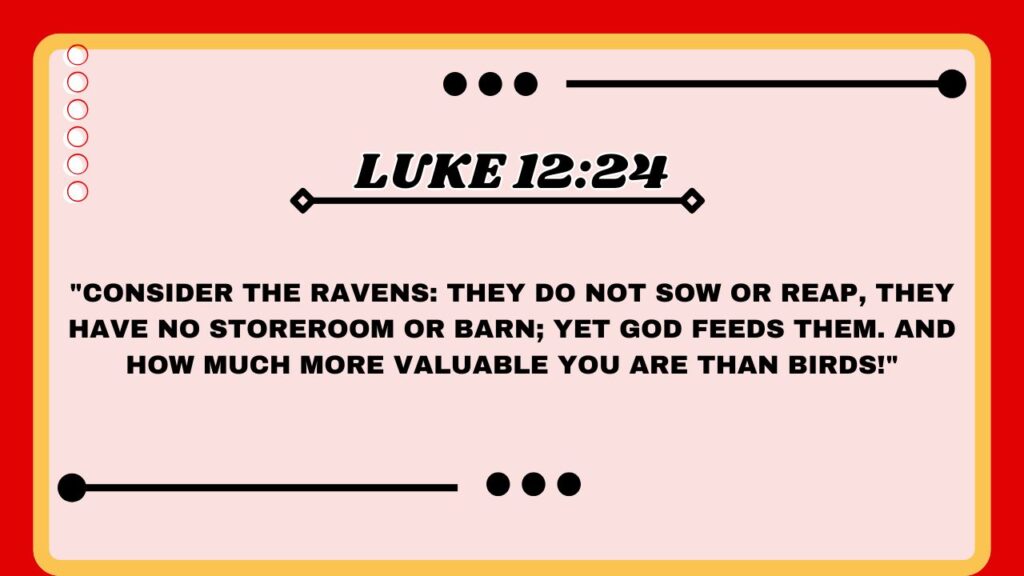  Luke 12:24