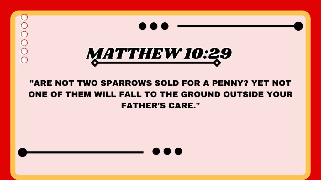 Matthew 10:29