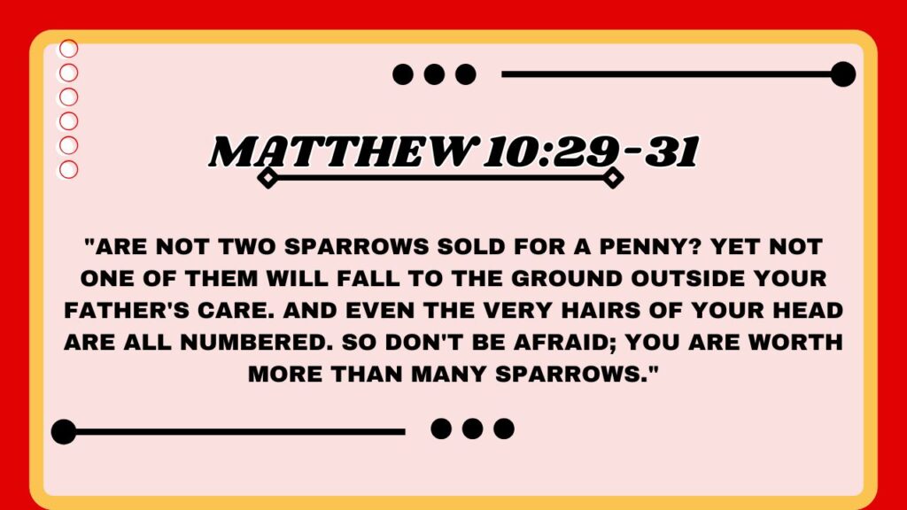 Matthew 10:29-31
