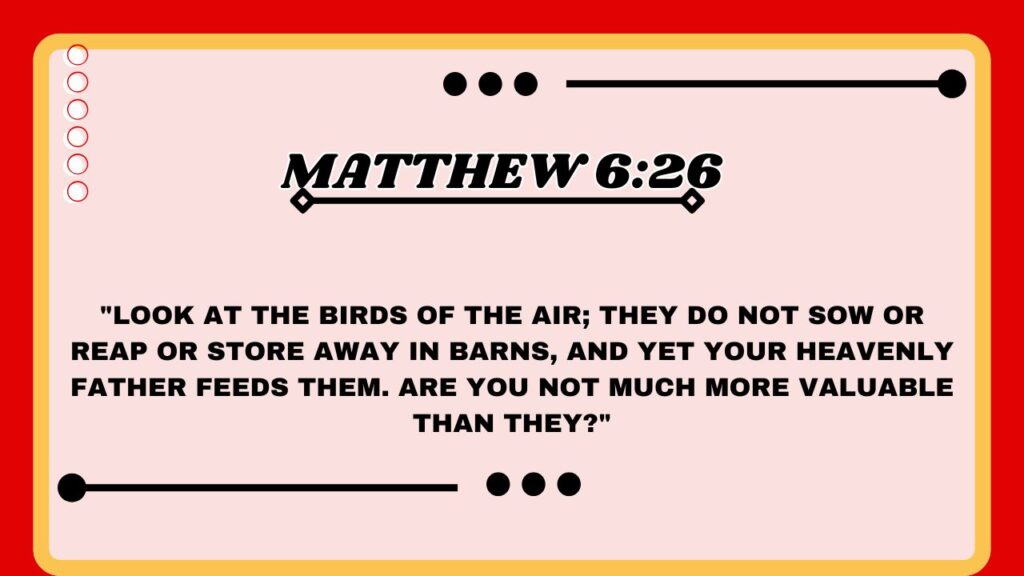 Matthew 6:26
