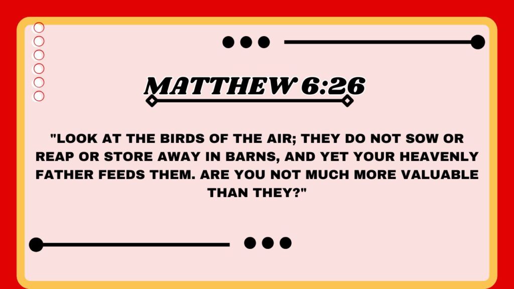Matthew 6:26