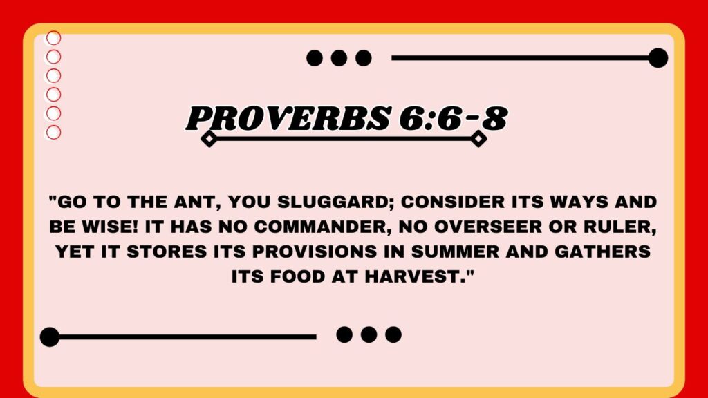 Proverbs 6:6-8