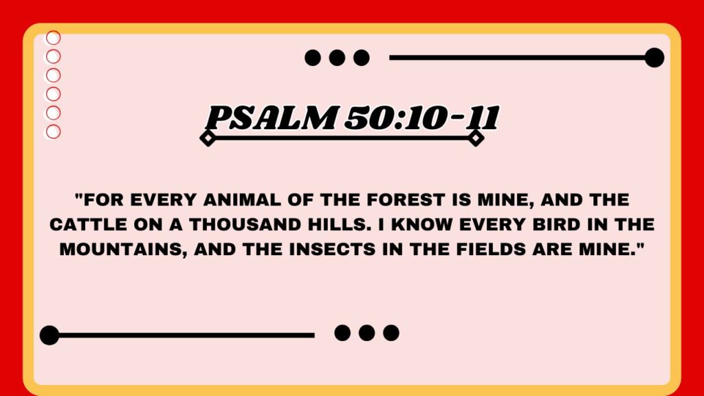Psalm 50:10-11