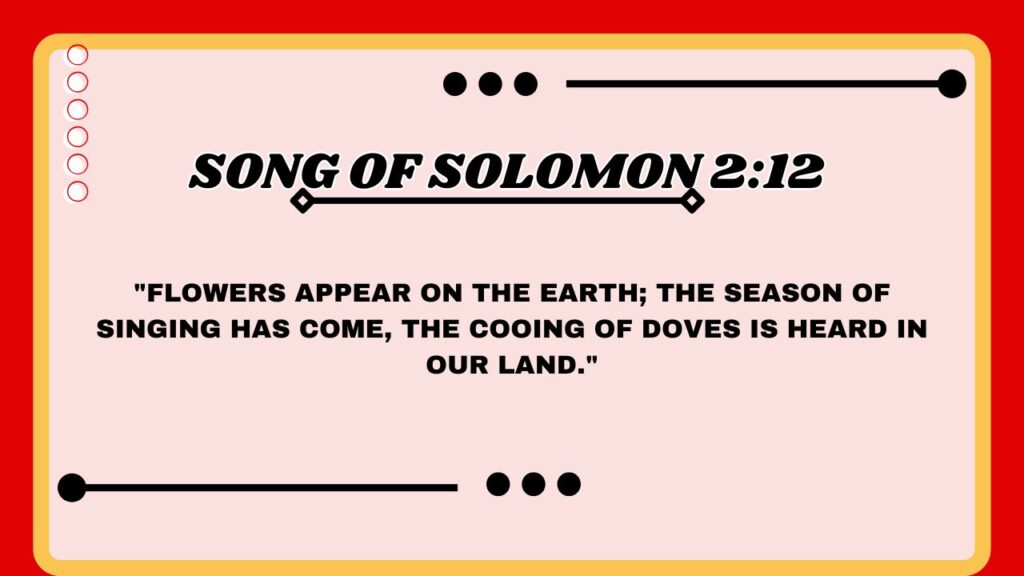 Song of Solomon 2:12