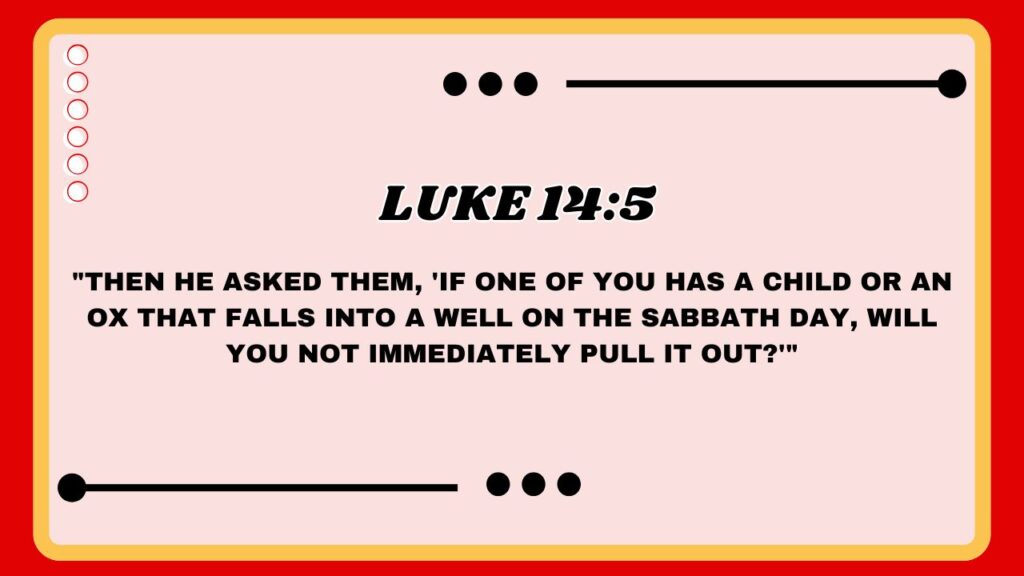 Luke 14:5