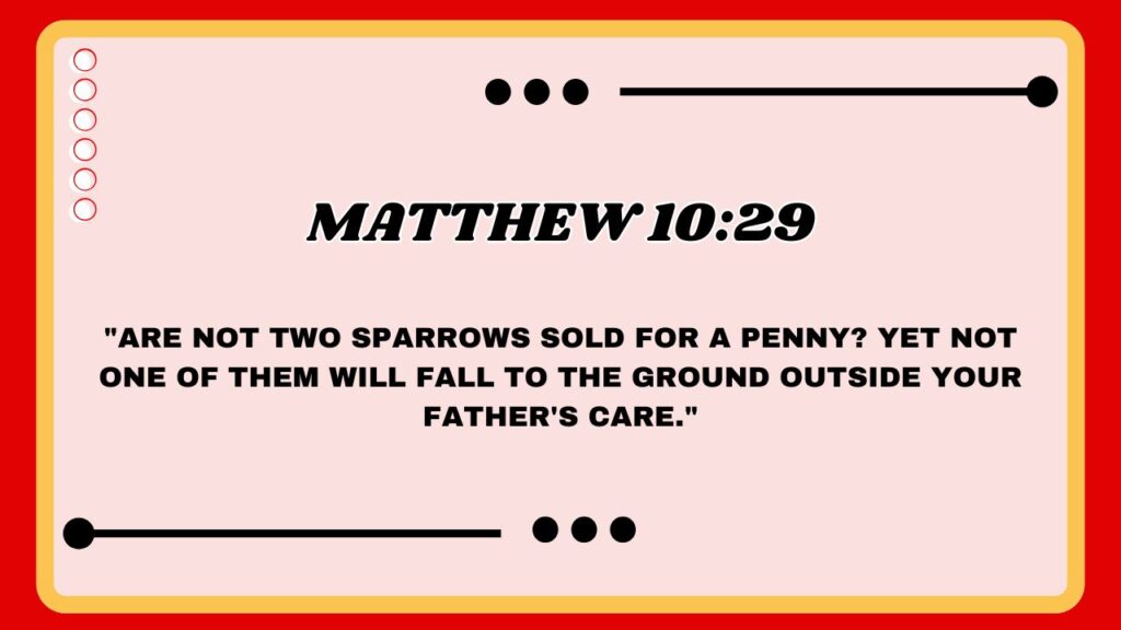 Matthew 10:29