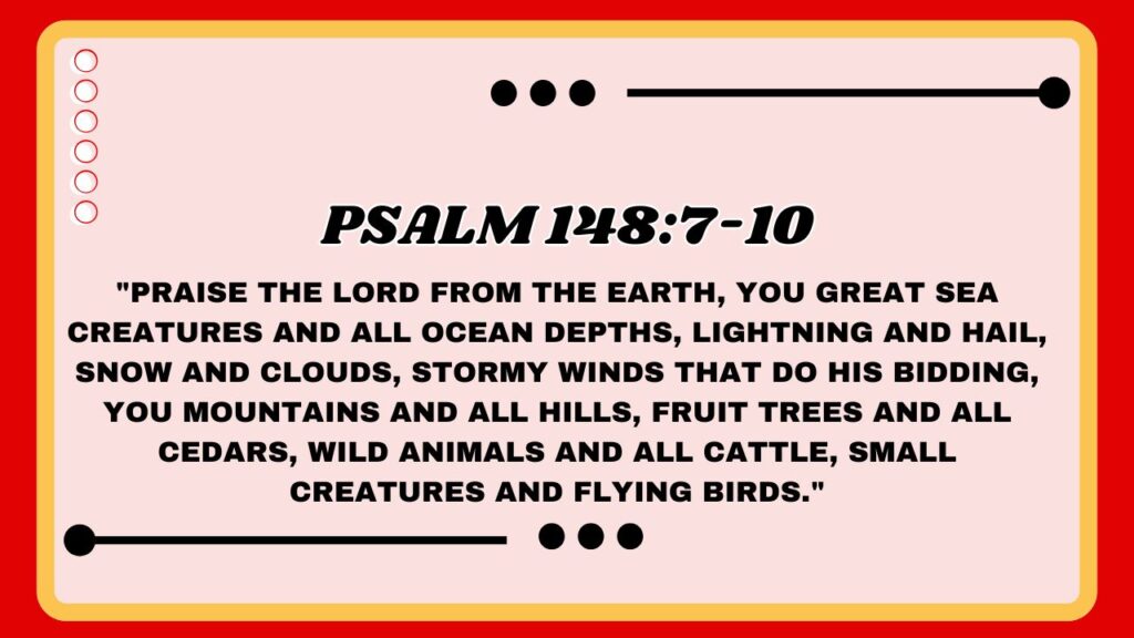Psalm 148:7-10